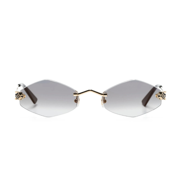 Polychromatic Sunglasses