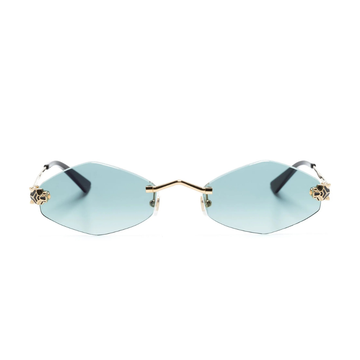 Polychromatic Sunglasses